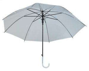 Transparent white umbrella (WNDR13006)