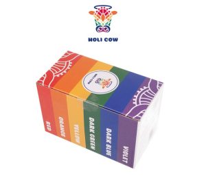 Colored Holi powder - set 6x100g (WNDR15274)