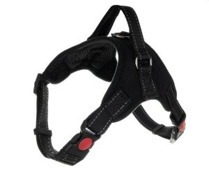 Pressure-free dog harness S (WNDR15373)