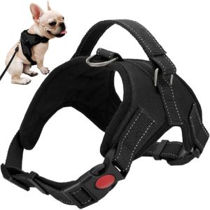 Pressure-free dog harness S (WNDR15373)