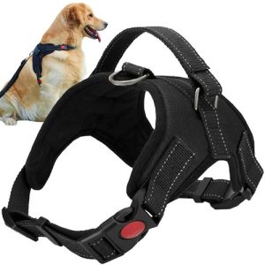 Pressure-free dog harness M (WNDR15374)