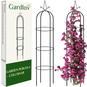 Garden column pergola Gardlov 21029 (WNDR16657)