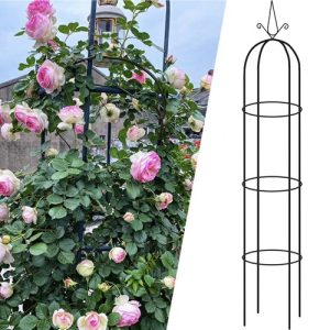 Garden column pergola Gardlov 21029 (WNDR16657)