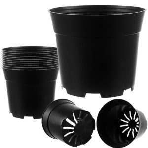 Production pot - set of 10 (WNDR16678)