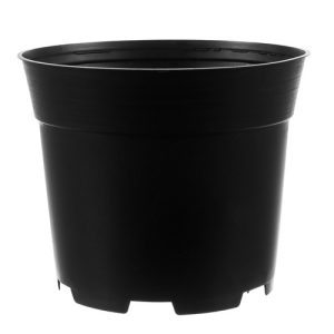 Production pot - set of 10 (WNDR16678)