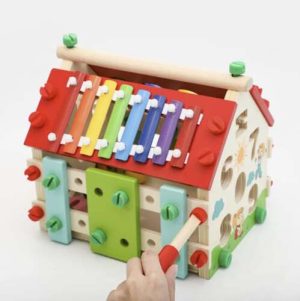 Kruzzel 22564 wooden educational house (WNDR17019)