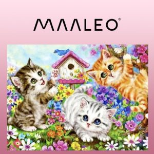 Painting by numbers 40x50cm - Maaleo cats 22781 (WNDR17064)