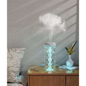 Decorative Air Humidifier and 2-in-1 Night Lamp with Rose Effect LED (WNDR24625)