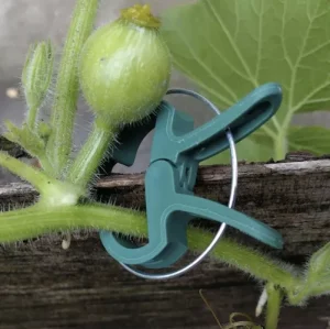 Plant Clips – 108 Pieces - Two Sizes (WNDR22586)