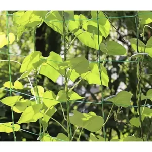 Plant net – support for climbing plants – 2 x 10 m (WNDR23978)