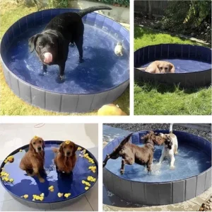 Extra-Large Foldable Dog Pool – 160x30 cm, Durable and Anti-Slip (WNDR23832)