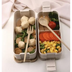 Eco-Friendly Dual-Compartment Lunchbox with Cutlery Set (WNDR24528)
