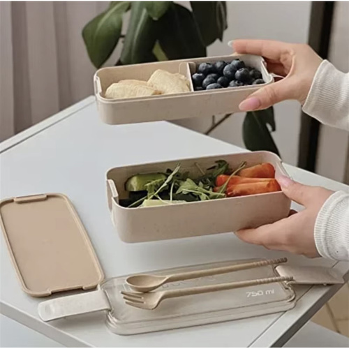 Eco-Friendly Dual-Compartment Lunchbox with Cutlery Set (WNDR24528) - Image 4