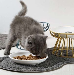Double Bowl Mat (WNDR24088)