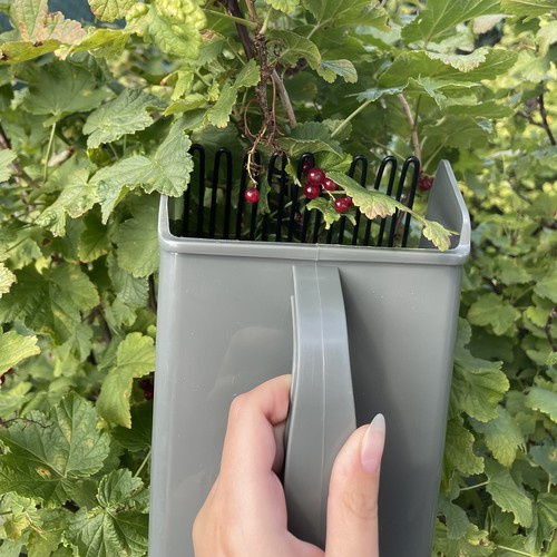 Hand Fruit Picker – Efficient and Safe Tool for Fruit Harvesting (WNDR24249) - Image 6
