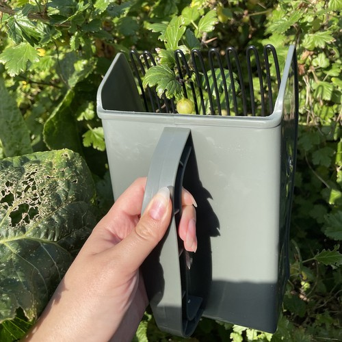 Hand Fruit Picker – Efficient and Safe Tool for Fruit Harvesting (WNDR24249) - Image 7