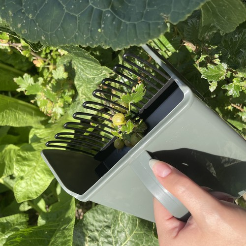 Hand Fruit Picker – Efficient and Safe Tool for Fruit Harvesting (WNDR24249) - Image 9