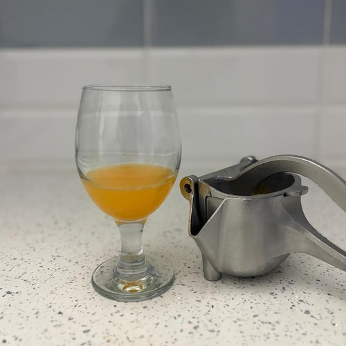 Manual Fruit and Citrus Juicer (WNDR24030) - Image 10
