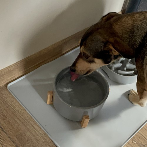 XXL Non-Slip Silicone Pet Feeding Mat – Waterproof and Easy to Clean (WNDR24295) - Image 2