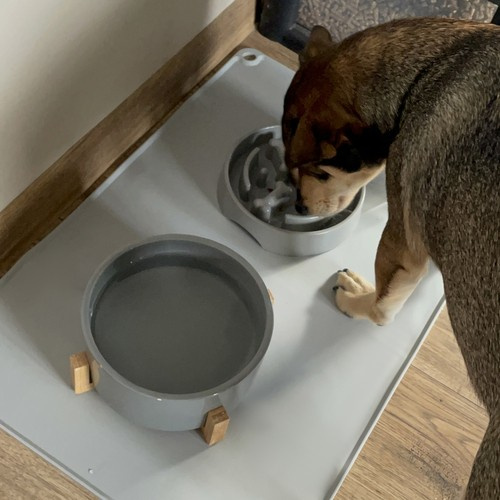 XXL Non-Slip Silicone Pet Feeding Mat – Waterproof and Easy to Clean (WNDR24295) - Image 6