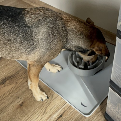 XXL Non-Slip Silicone Pet Feeding Mat – Waterproof and Easy to Clean (WNDR24295) - Image 5