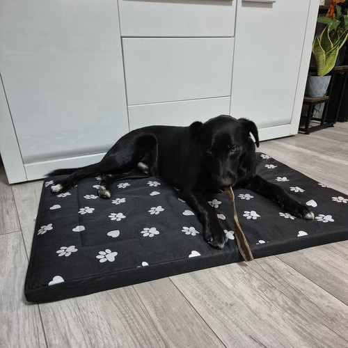 Waterproof XXL Dog Bed – Soft, Durable & Comfortable! (WNDR24862) - Image 5
