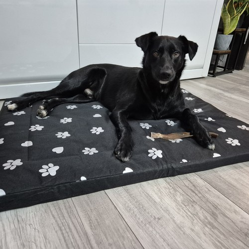 Waterproof XXL Dog Bed – Soft, Durable & Comfortable! (WNDR24862) - Image 6