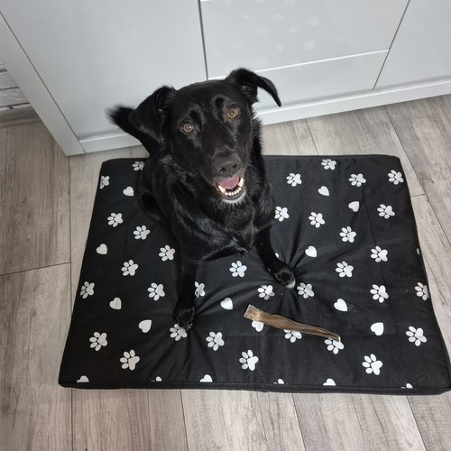 Waterproof XXL Dog Bed – Soft, Durable & Comfortable! (WNDR24862) - Image 4