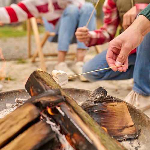 XXL Garden Fire Pit with Handles (WNDR25379) - Image 3