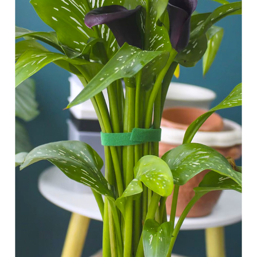 Velcro Tape for Attaching Plants, Tomatoes, and Flowers - 1 x 500 cm (WNDR25362) - Image 15