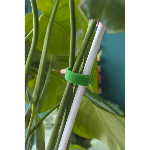 Velcro Tape for Attaching Plants, Tomatoes, and Flowers - 1 x 500 cm (WNDR25362) - Image 4