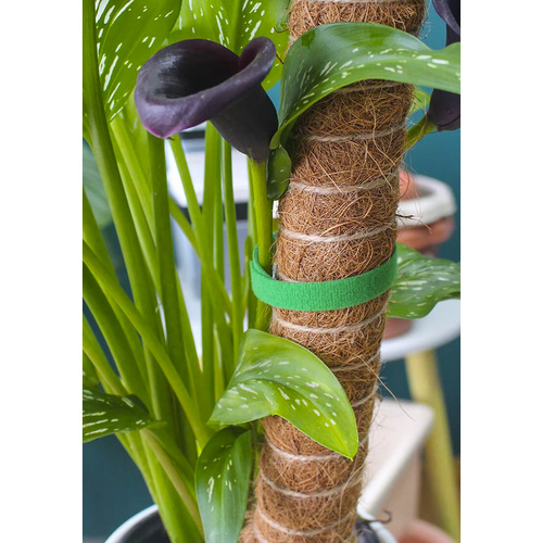 Velcro Tape for Attaching Plants, Tomatoes, and Flowers - 1 x 500 cm (WNDR25362) - Image 6