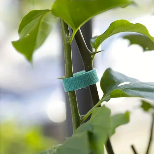 Velcro Tape for Attaching Plants, Tomatoes, and Flowers - 1 x 500 cm (WNDR25362) - Image 8