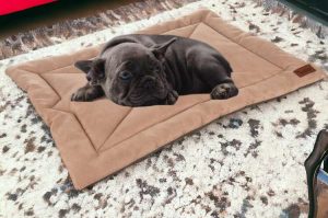 Comfortable, Soft, Waterproof, and Portable Pet Bed - Light Brown (WNDR24594)