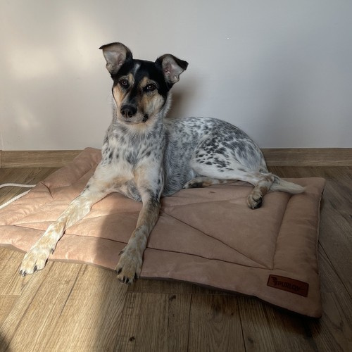 Comfortable, Soft, Waterproof, and Portable Pet Bed - Light Brown (WNDR24594) - Image 13