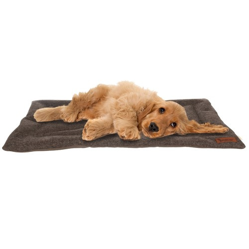 Comfortable, Soft, Waterproof, and Portable Pet Bed - Dark Brown (WNDR24593) - Image 4