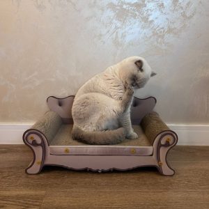 Cat Scratching Post Sofa Bed - Comfortable and Durable (WNDR24285)