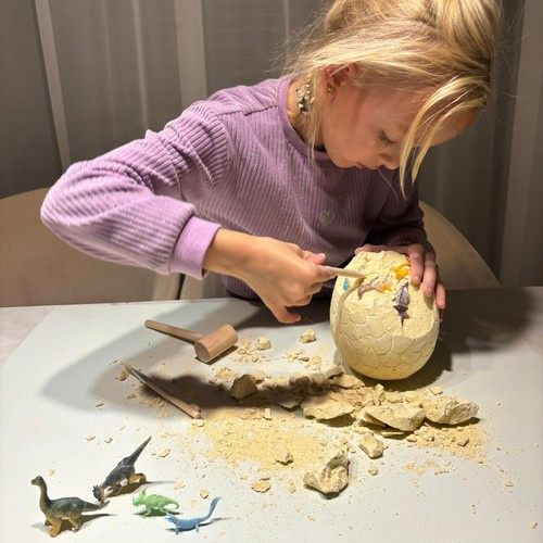 Dinosaur Egg Mine Discovery Set for Kids – Uncover Prehistoric Treasures (WNDR24981) - Image 10