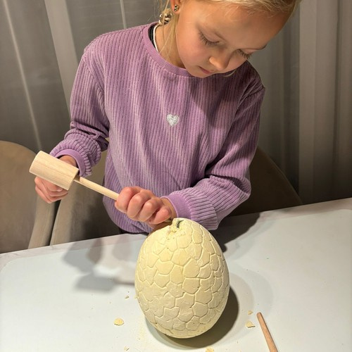 Dinosaur Egg Mine Discovery Set for Kids – Uncover Prehistoric Treasures (WNDR24981) - Image 7