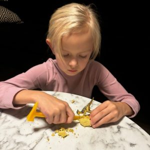 Dinosaur Excavation Kit – Dig and Discover Prehistoric Adventure for Kids (WNDR24982)
