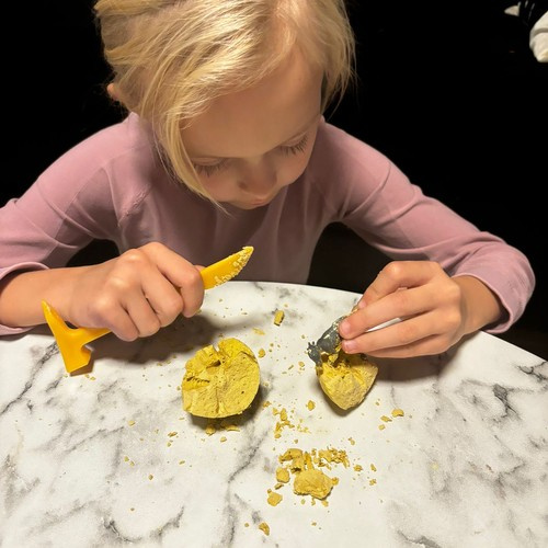 Dinosaur Excavation Kit – Dig and Discover Prehistoric Adventure for Kids (WNDR24982) - Image 10
