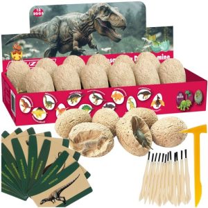 Dinosaur Excavation Kit – Dig and Discover Prehistoric Adventure for Kids (WNDR24982)