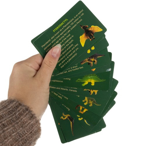 Dinosaur Excavation Kit – Dig and Discover Prehistoric Adventure for Kids (WNDR24982) - Image 5