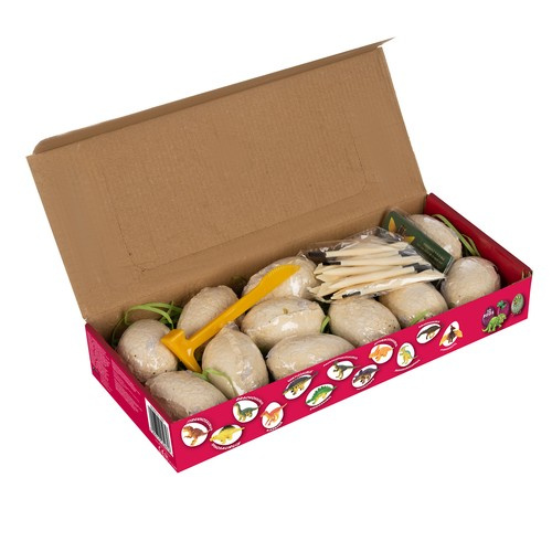 Dinosaur Excavation Kit – Dig and Discover Prehistoric Adventure for Kids (WNDR24982) - Image 6