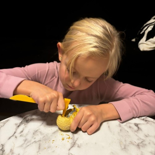 Dinosaur Excavation Kit – Dig and Discover Prehistoric Adventure for Kids (WNDR24982) - Image 9