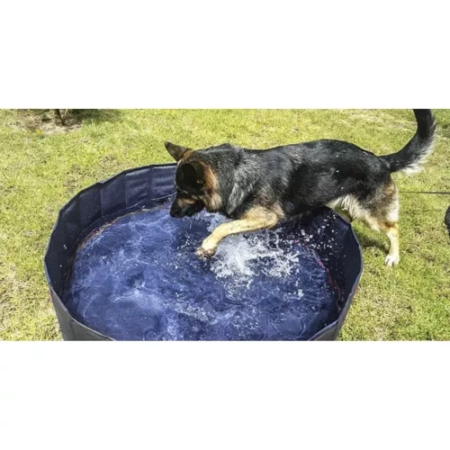 Large Foldable Dog Pool – 120x30 cm, Durable and Anti-Slip Design (WNDR23831) - Image 4