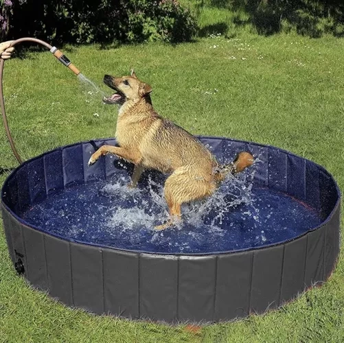 Large Foldable Dog Pool – 120x30 cm, Durable and Anti-Slip Design (WNDR23831) - Image 5