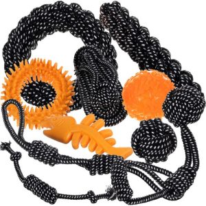 Large Dog Toy Set - 10 Interactive and Durable Toys (WNDR24388)