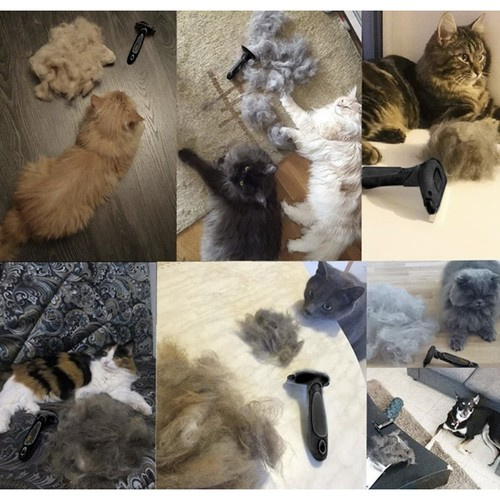 Universal Comb and Brush for Dogs and Cats (WNDR24261) - Image 9