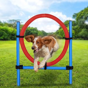 Dog Toy Jumping Ring 85 x 3 cm (EDC)